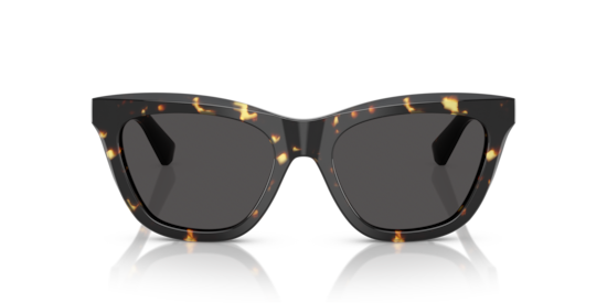 Sunglasses Burberry BE4435 | Free Shipping | Glasses.com® Sunglasses Burberry BE4435 | Free Shipping | Glasses.com®