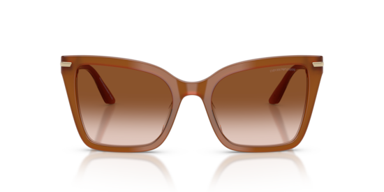 EA4273BU Emporio Armani Tobacco