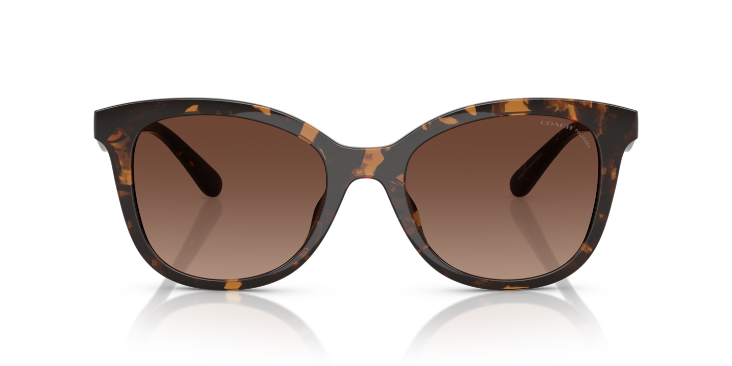 小物 174.COACH SUNGLASSES DARK OLIVE Coach HC8320 C6180 Sunglasses | LensCrafters