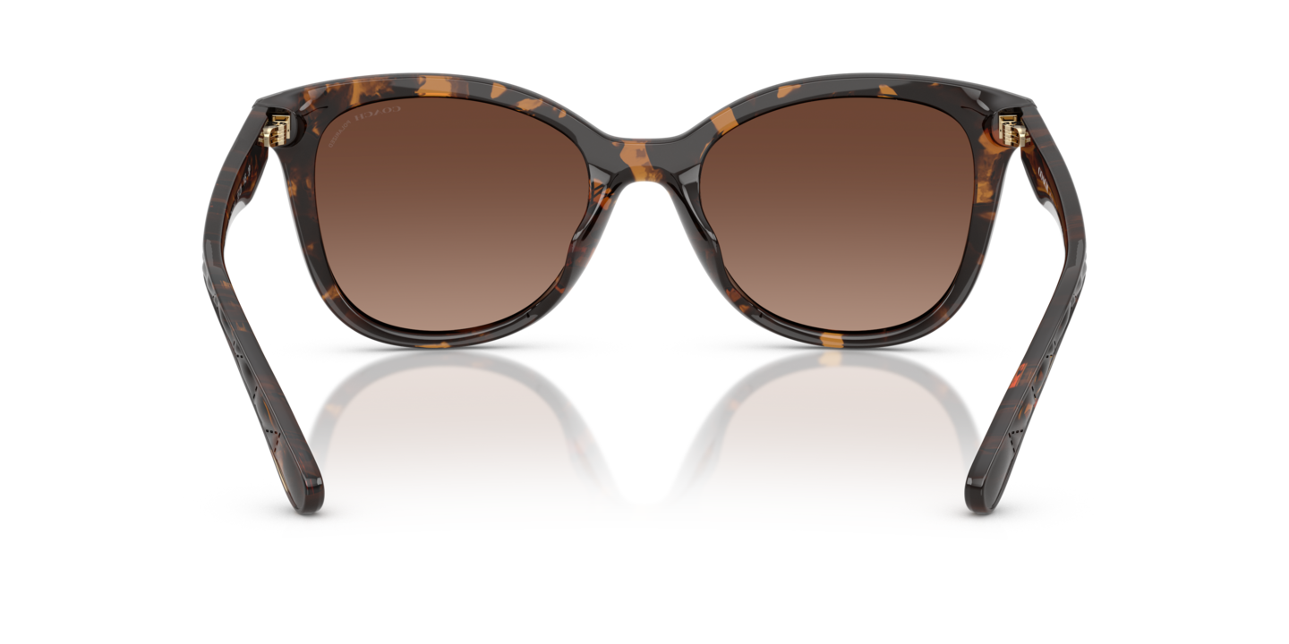 Sunglasses Coach HC8419U CAD25 | Free Shipping | Glasses.com®