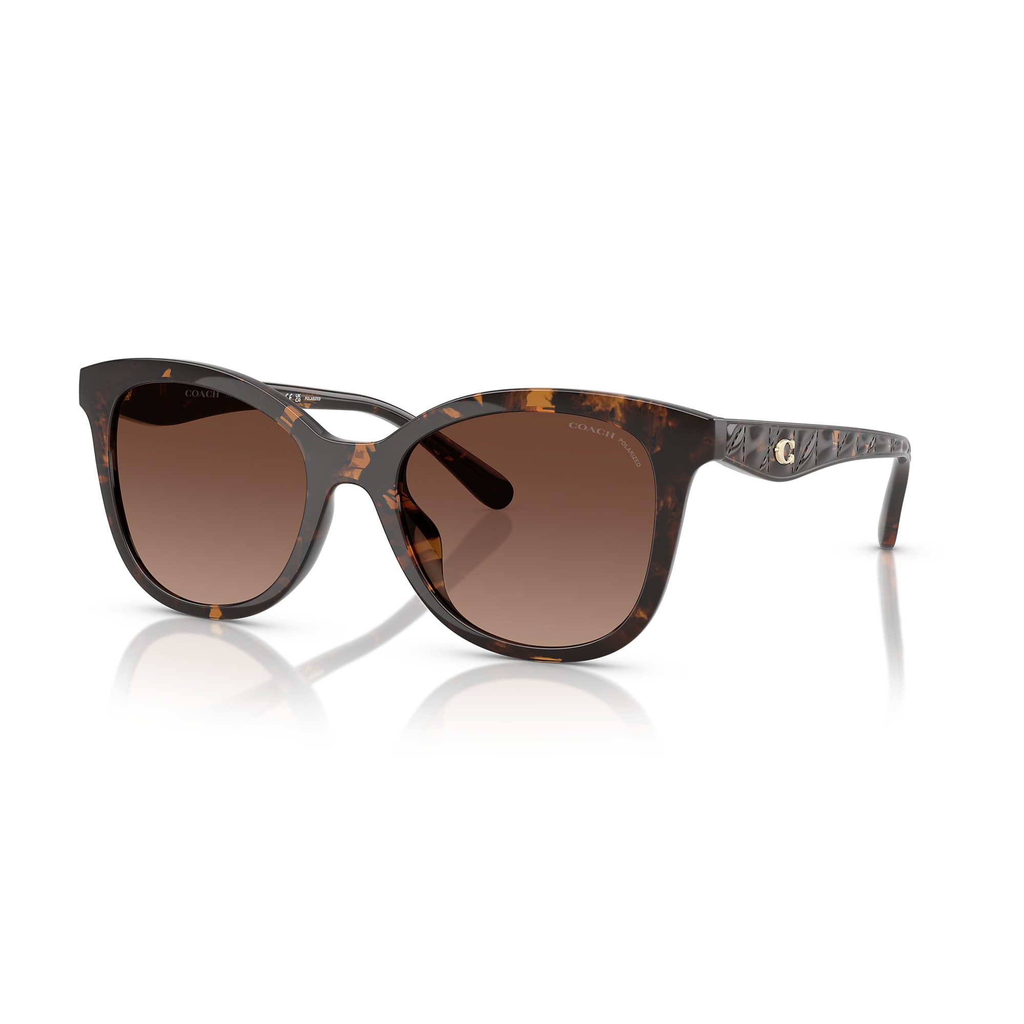 Sunglasses Coach HC8419U CAD25 | Free Shipping | Glasses.com®