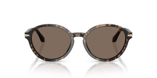 AR8237 Giorgio Armani Havana Beige