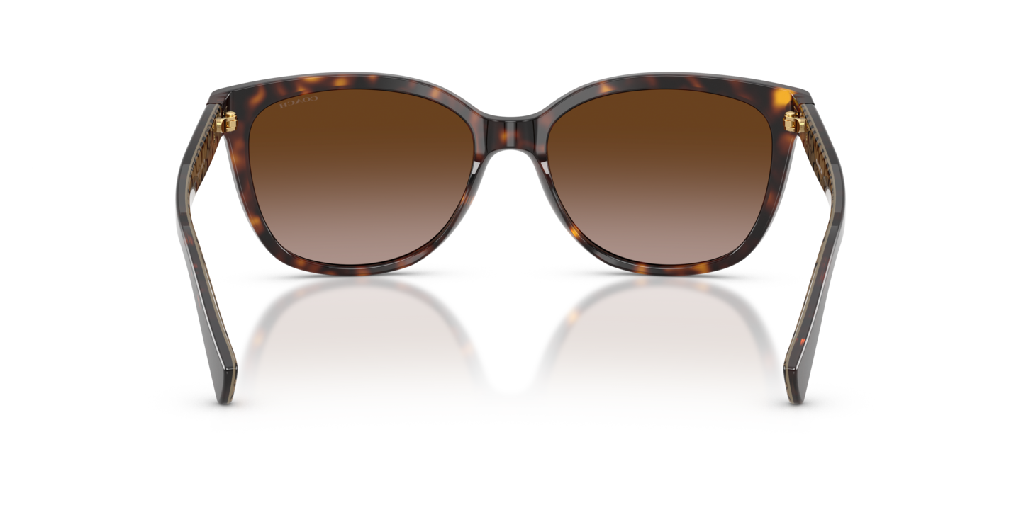 Sunglasses Coach HC8132 L109 | Free Shipping | Glasses.com®