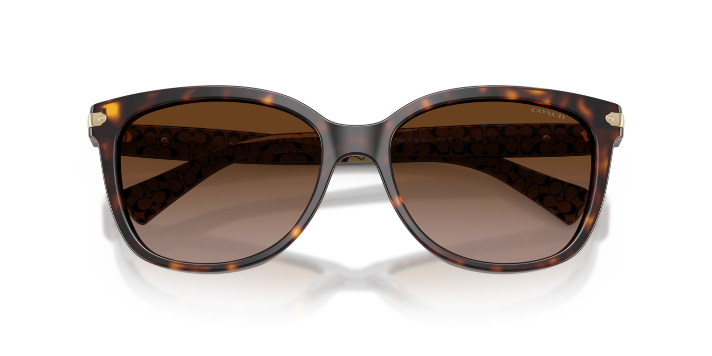 Sunglasses Coach HC8132 L109 | Free Shipping | Glasses.com®