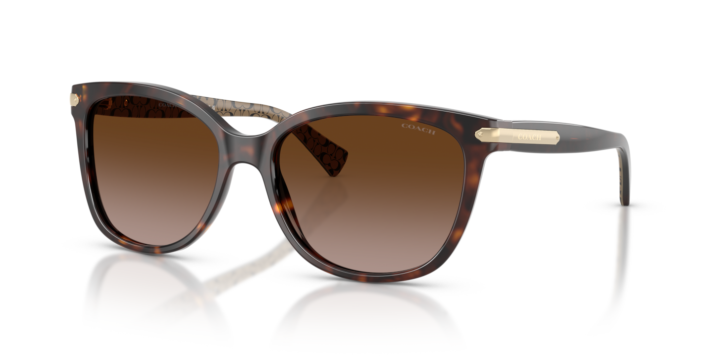 Coach HC8132 L109 Dark Tortoise