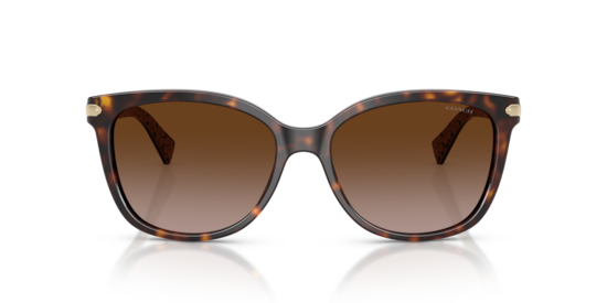 HC8132 L109 Coach Dark Tortoise