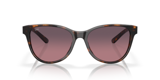 6S2012 Catherine Costa Tortoise