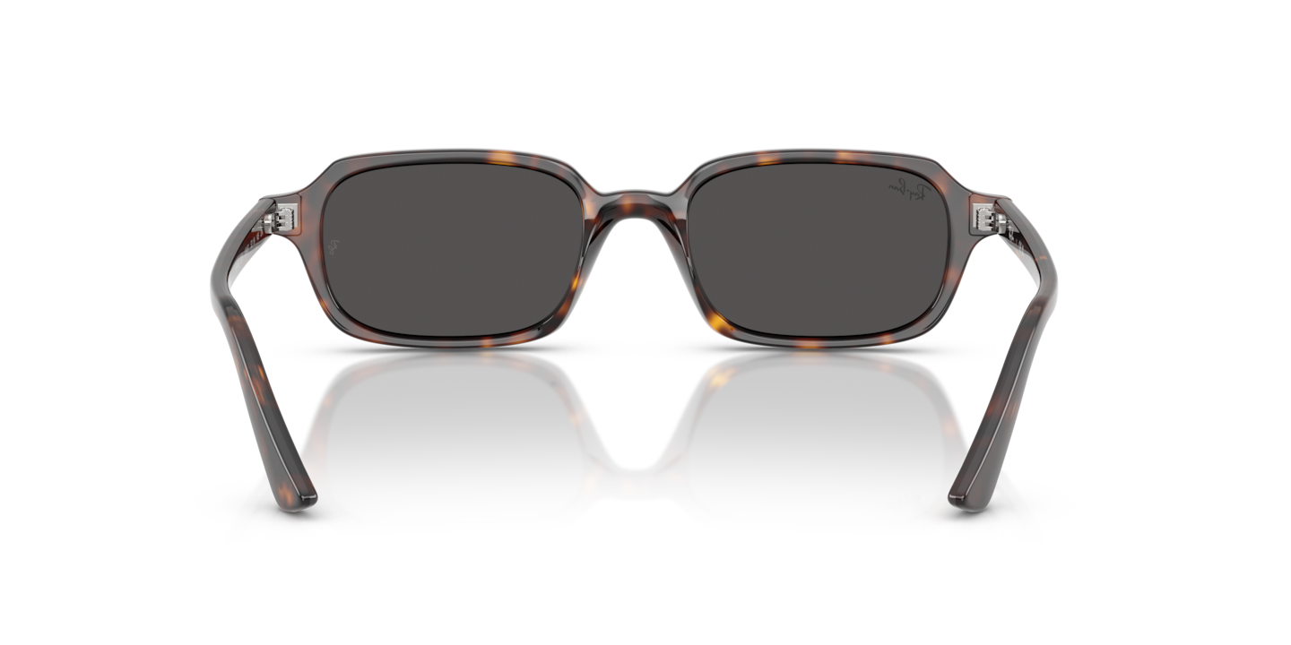 Sunglasses Ray-Ban RB4455 Zuri Bio-Based | Free Shipping | Glasses