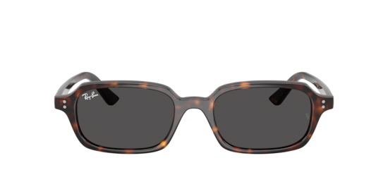 Sunglasses Ray-Ban RB4455 Zuri Bio-Based | Free Shipping | Glasses