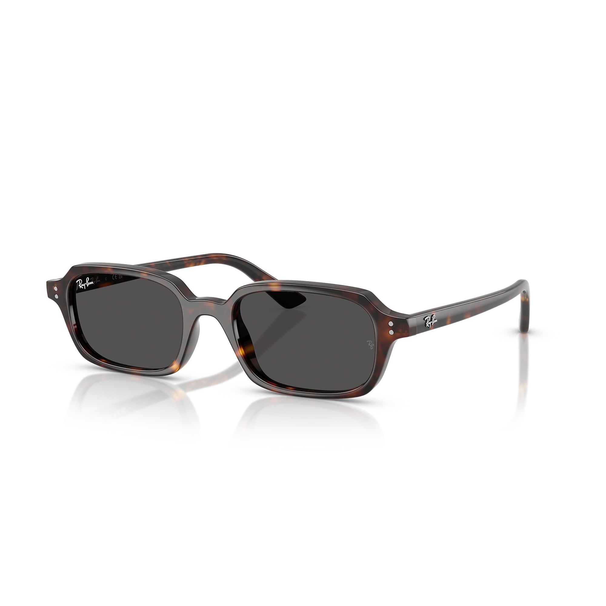 Sunglasses Ray-Ban RB4455 Zuri Bio-Based | Free Shipping | Glasses