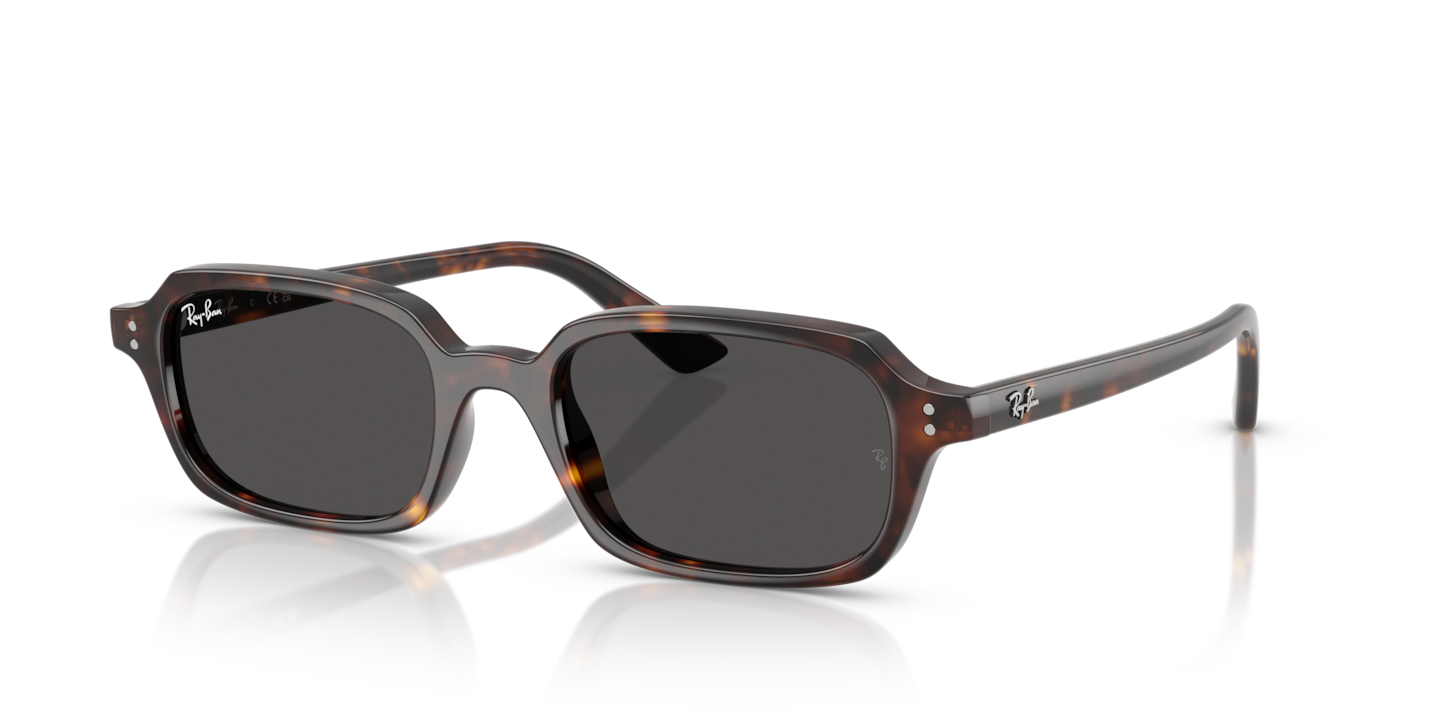 SOL GuruGuruBeanie LightGray　DarkGray Sunglasses Ray-Ban RB4455 Zuri Bio-Based | Free Shipping