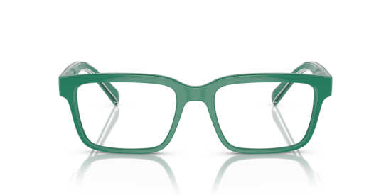 DG5102 Dolce & Gabbana Green