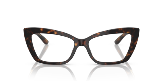 DG3375B Dolce & Gabbana Havana