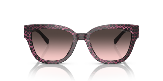 Sunglasses Coach HC8379U CL920 | Free Shipping | Glasses.com®