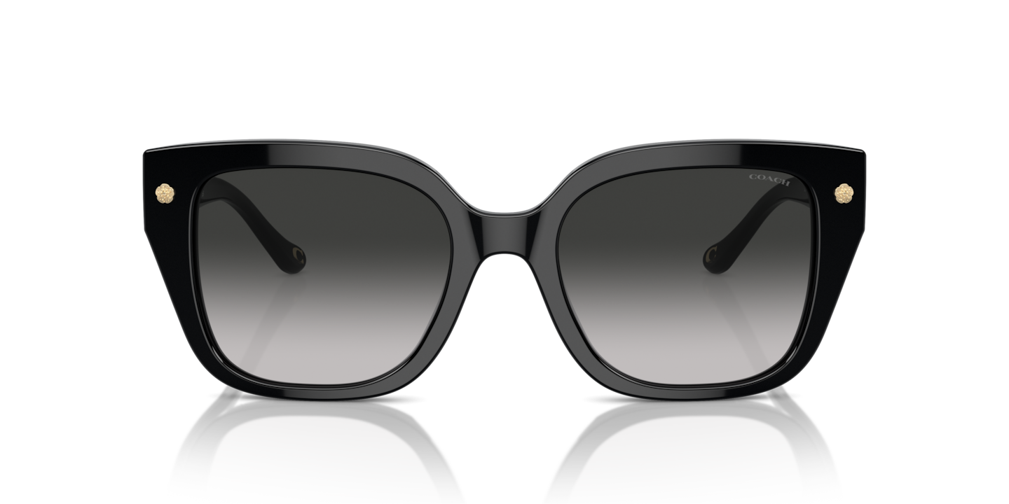 Sunglasses Coach HC8392U CR611 | Free Shipping | Glasses.com®