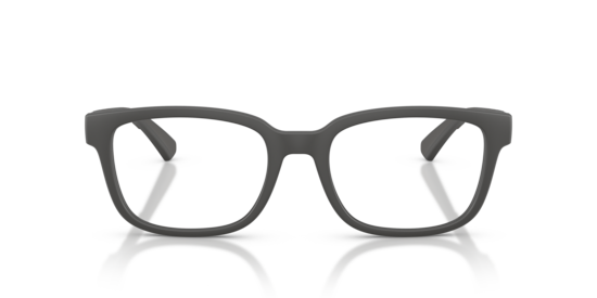 BE2451U Burberry Matte Grey