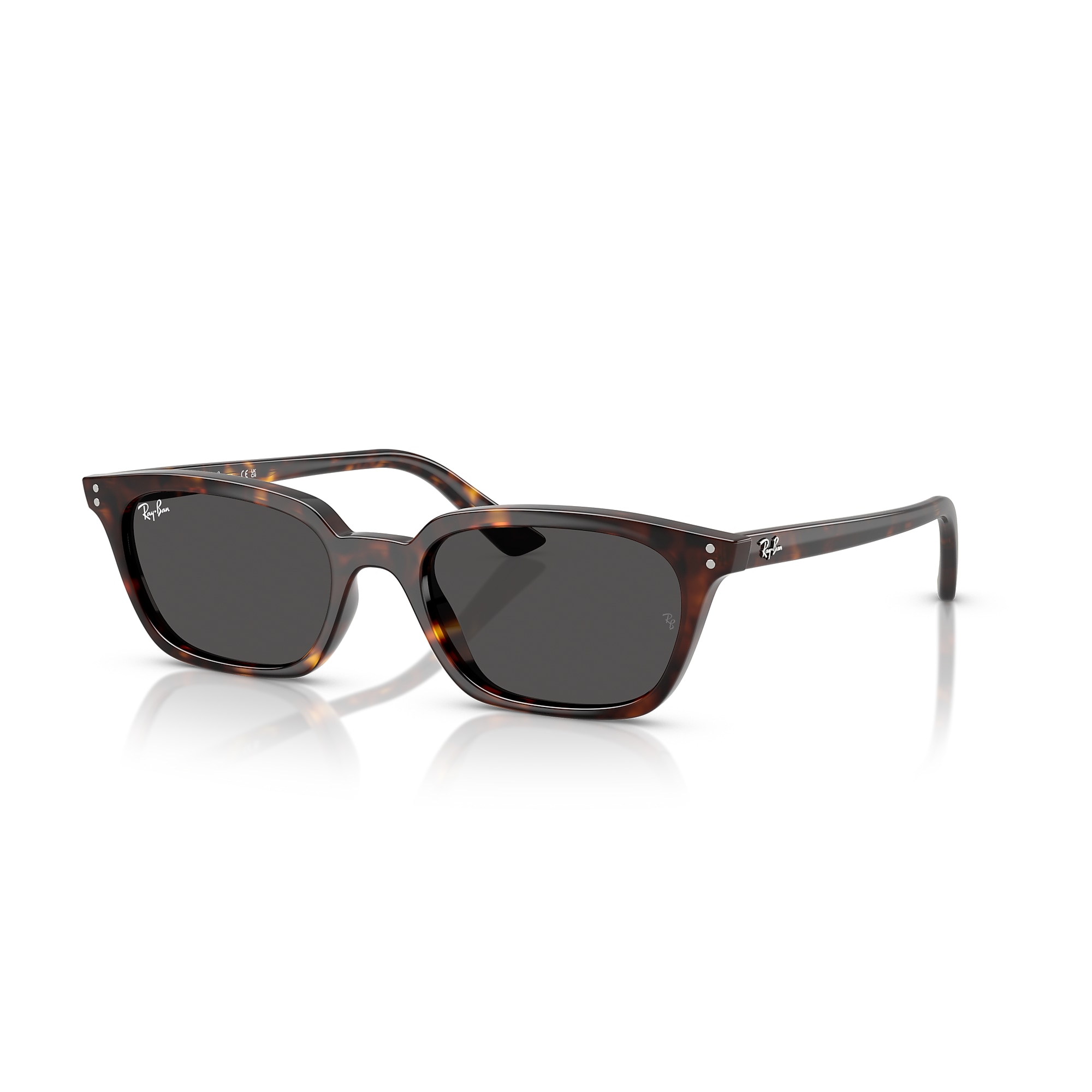 Ray-Ban ZAYA BIO-BASEDスクエア サングラス Ray-Ban RB4456 Zaya Bio-Based Sunglasses | LensCrafters