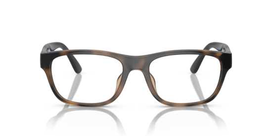 PH2263U Polo Ralph Lauren Shiny Havana Brown