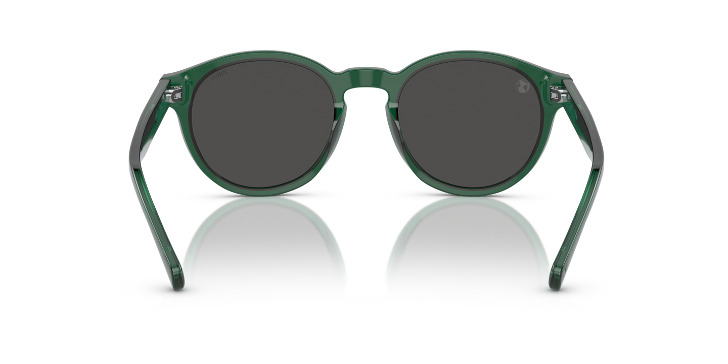 Sunglasses Polo Ralph Lauren PH4192 | Free Shipping  display picture 2