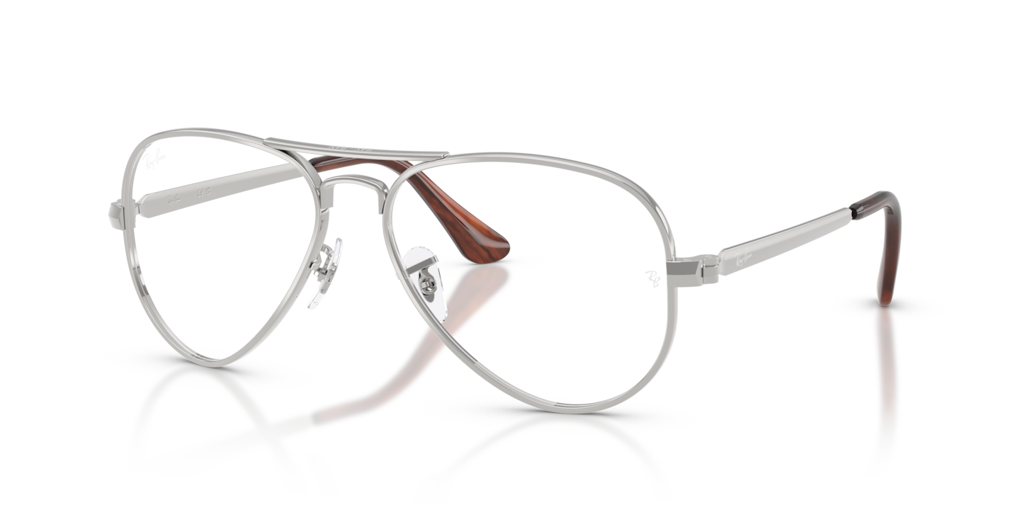 Ray-Ban RB3925V Aviator Max Optics Silver