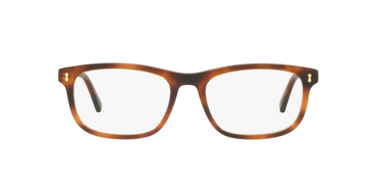 GG1046O Gucci Brown