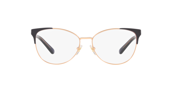 GK1002 Glasses.com Rose Gold/Shiny Blu On Top Bar