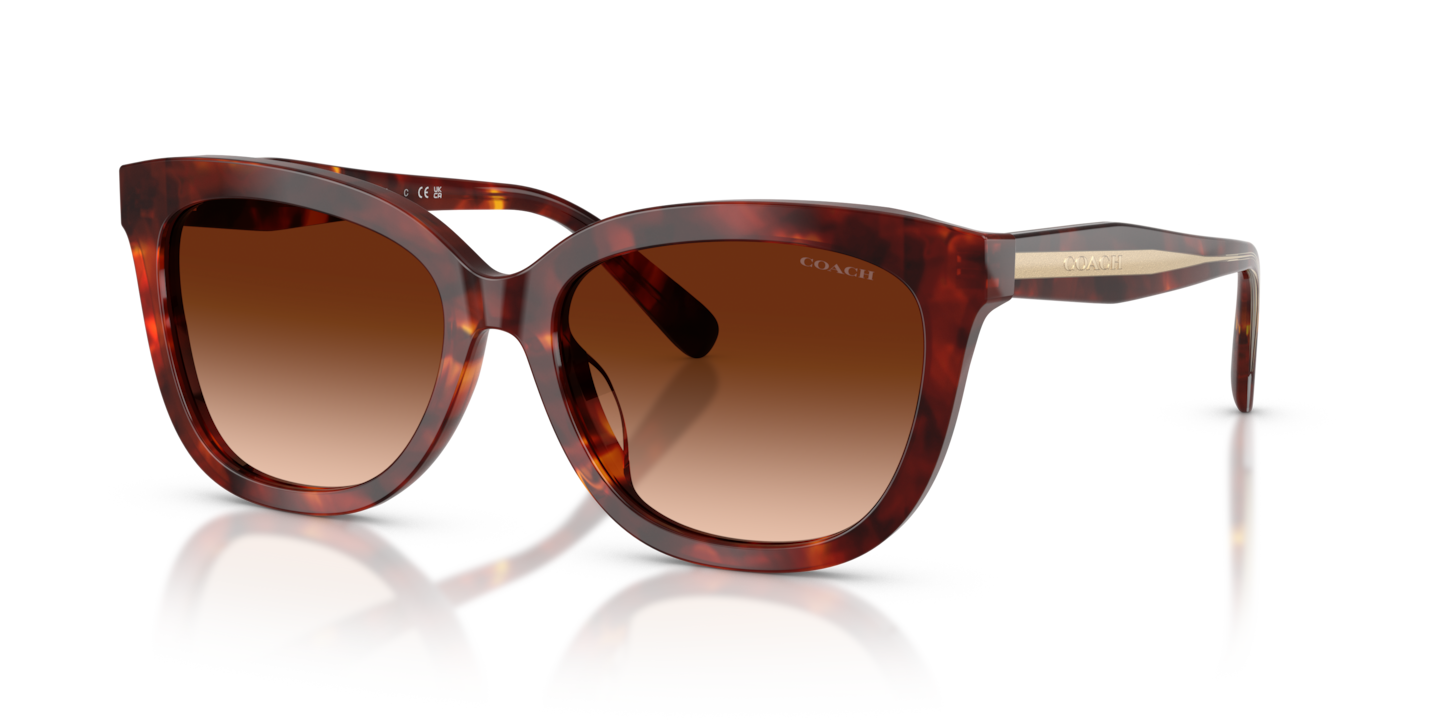 Coach HC8453U CDP53 Walnut Tortoise