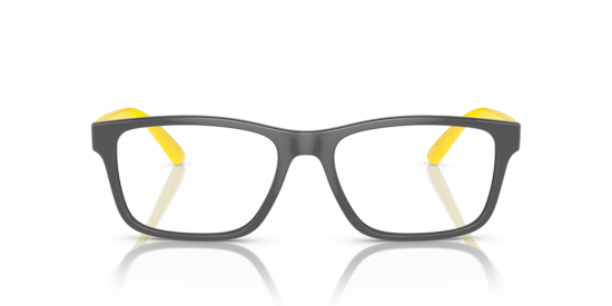 AN7231 Fakie Arnette Full Grey