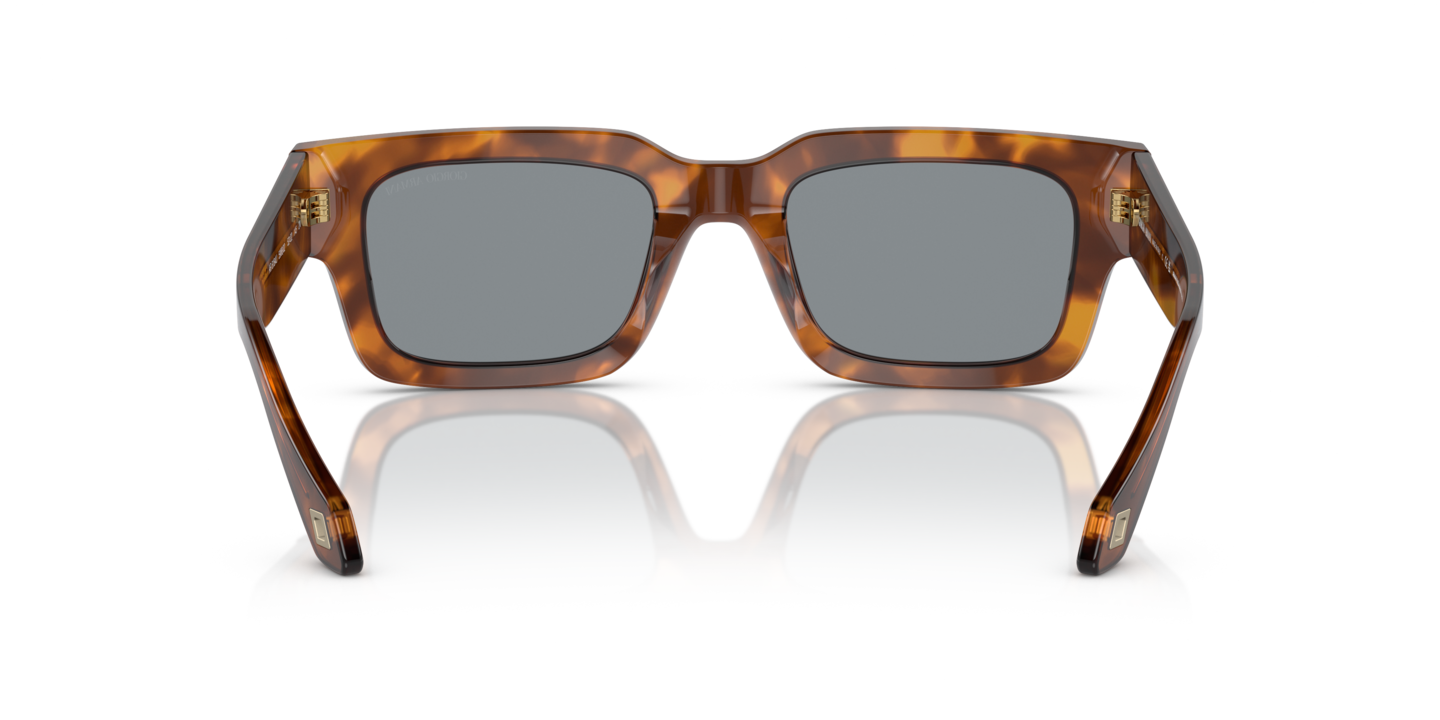Sunglasses Giorgio Armani AR8184U | Free Shipping | Glasses.com® display picture 2