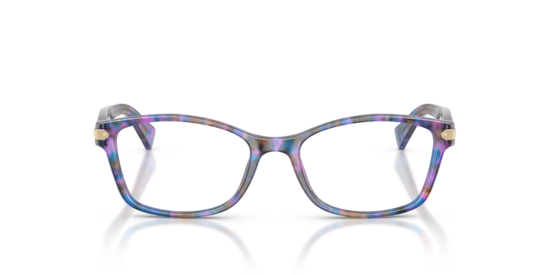 HC6065 Coach Purple Confetti Tortoise