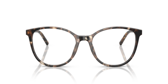 DG3425 Dolce & Gabbana Havana Brown Pearl