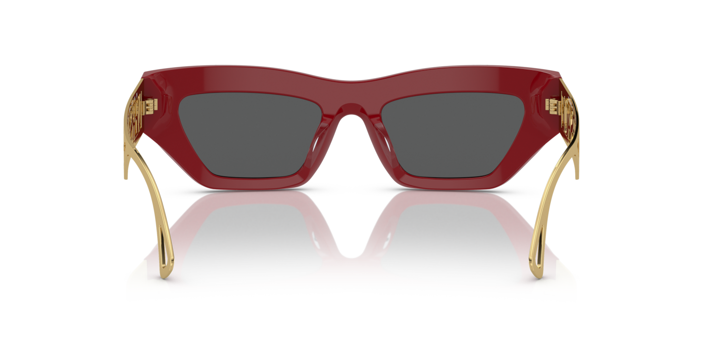 Sunglasses Versace VE4432U | Free Shipping | Glasses.com®