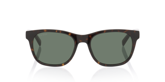 GG1985S Gucci Tortoise