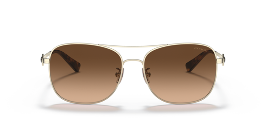 COACH サングラス HC8362U CH563 Coach HC8362U - CH563 Sunglasses | Select Eyewear