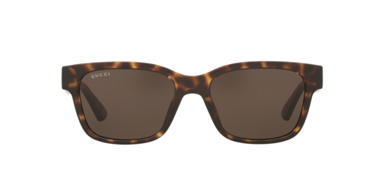GG1716S Gucci Tortoise