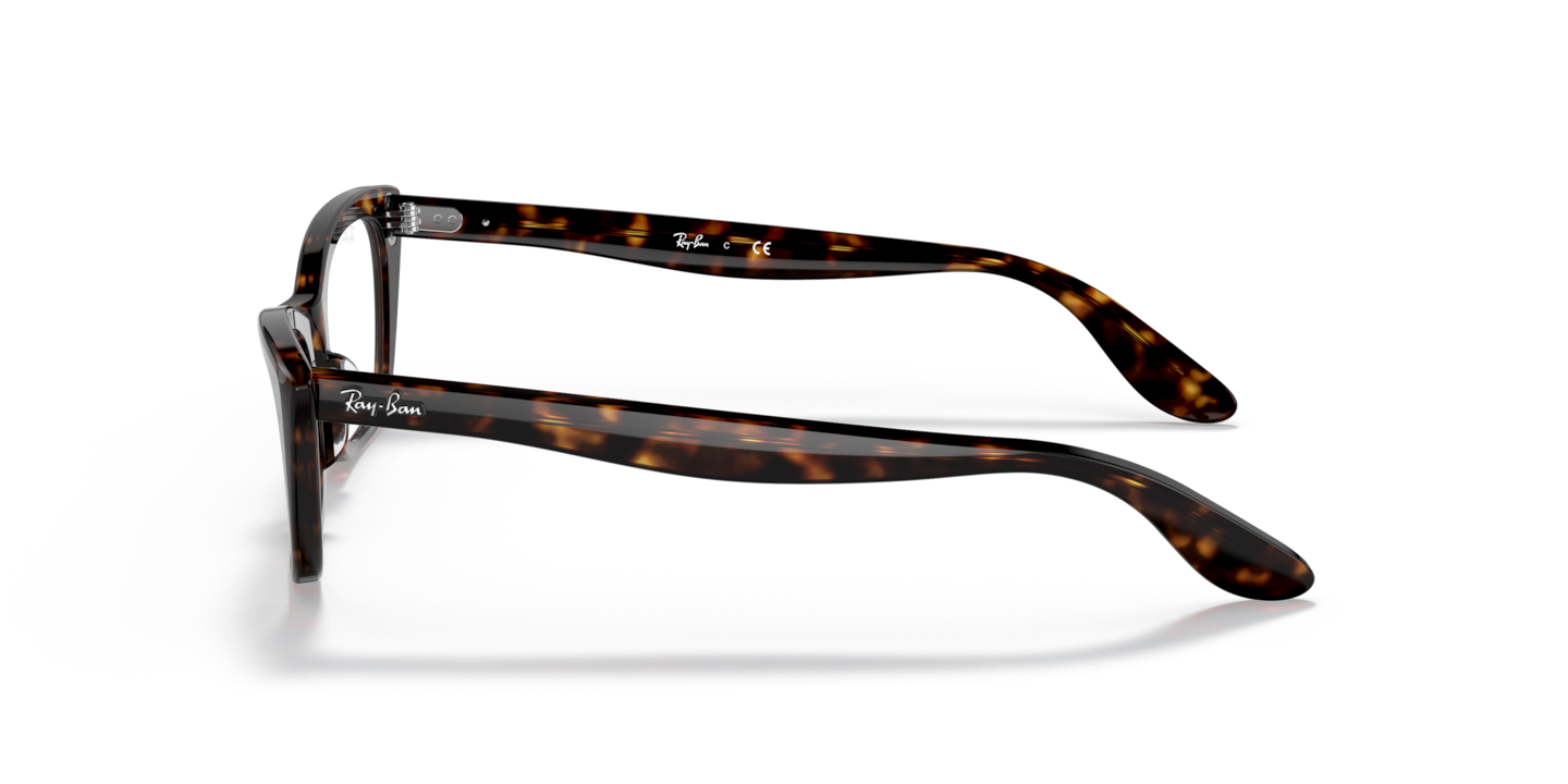 Eyeglasses Ray-Ban RB5499 Lady Burbank Optics | Free