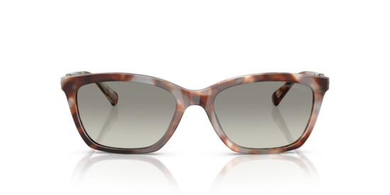 EA4238 Emporio Armani Shiny Havana Grey