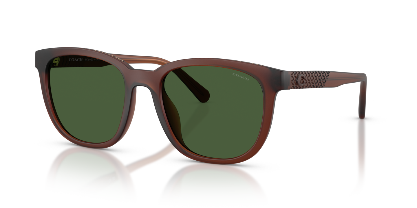 Coach HC8442U CCA00 Matte Transparent Brown