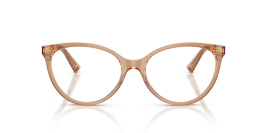 JC3047 Jimmy Choo Transparent Tan