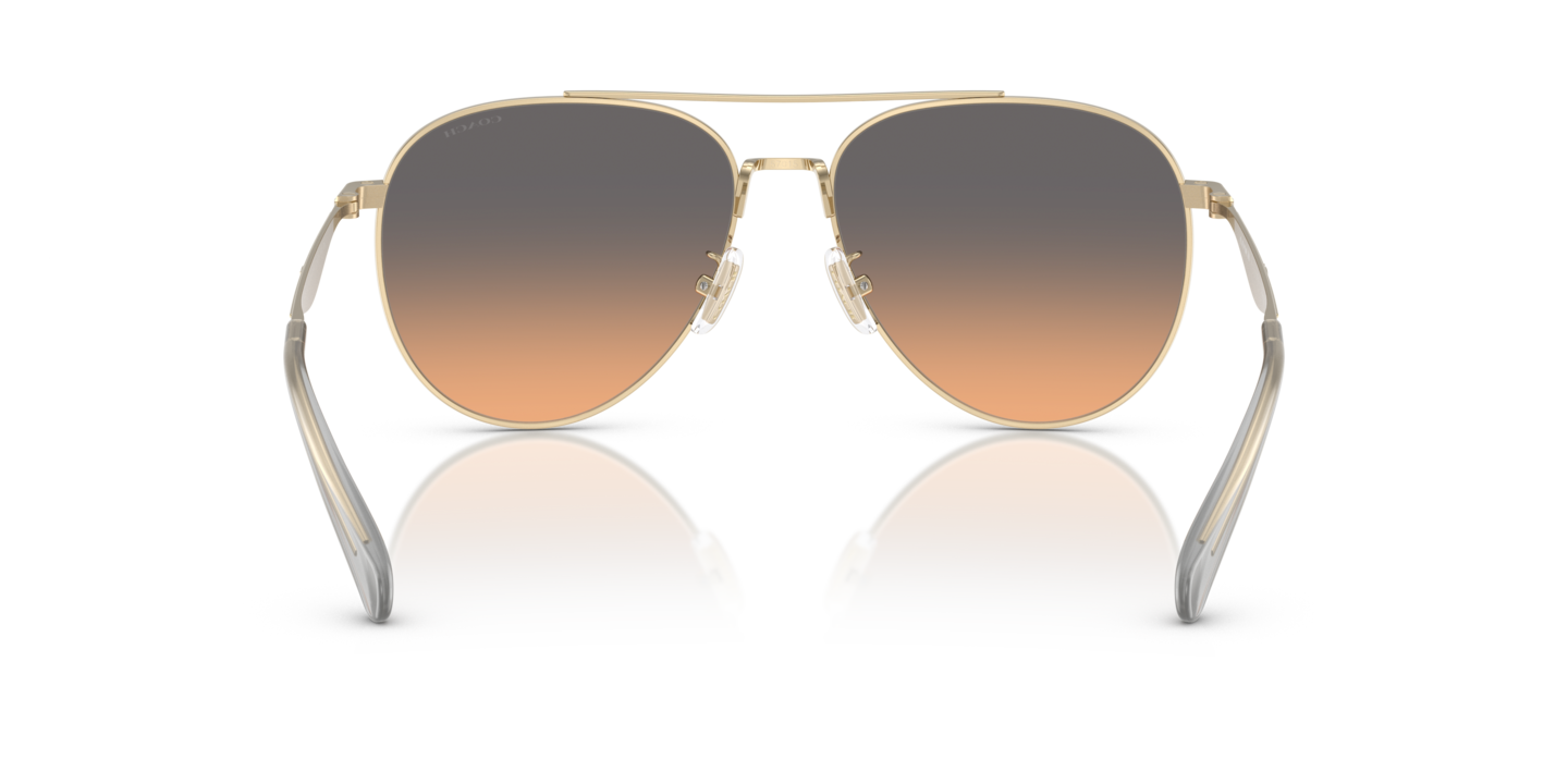 Sunglasses Coach HC7169 CW193 | Free Shipping | Glasses.com® display picture 2