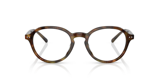 PH2251U Polo Ralph Lauren Shiny Jerry Havana