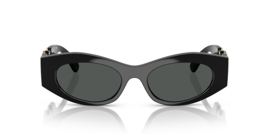 VE4480U Versace Black