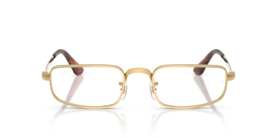 RB3927V Optics By A$AP Rocky Ray-Ban Arista Gold