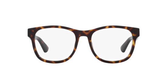 GG1344O Gucci Tortoise