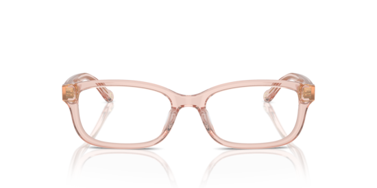 HC6233U Coach Transparent Dusty Rose