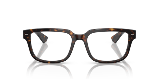 DG3380 Dolce & Gabbana Havana