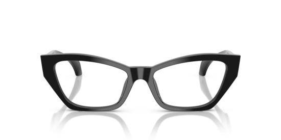 VE3373U Versace Black