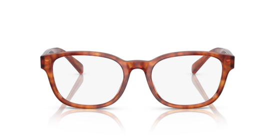 PH2244 Polo Ralph Lauren Shiny Red Havana