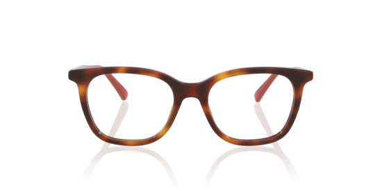 GG1864O Gucci Tortoise