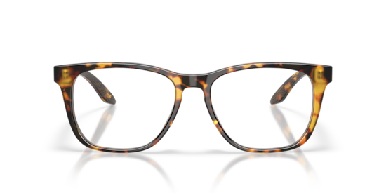 6A2013 Mariana Trench 520 Costa Tortoise